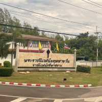 พระราชนิเวศน์มฤคทายวัน