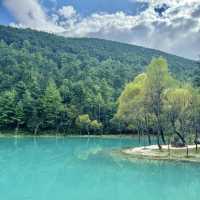 Lost in Blue Moon Valley