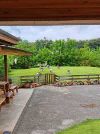 419.homecafe คาเฟ่ลับเชียงดาว