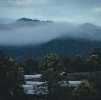 Chiangkhan River Green Hill ⛺️