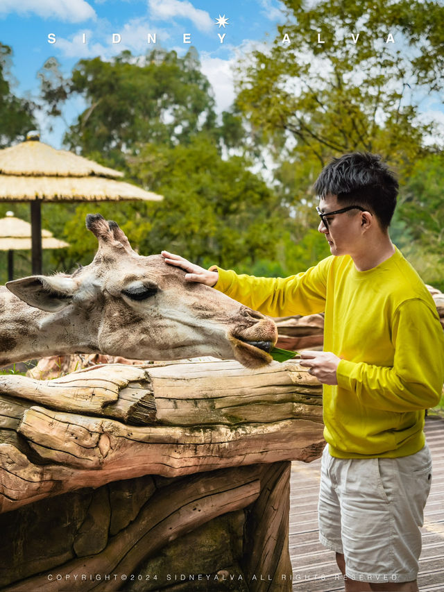 到動物園去班味，拯救不開心🦝🦒🦓🐅🦧