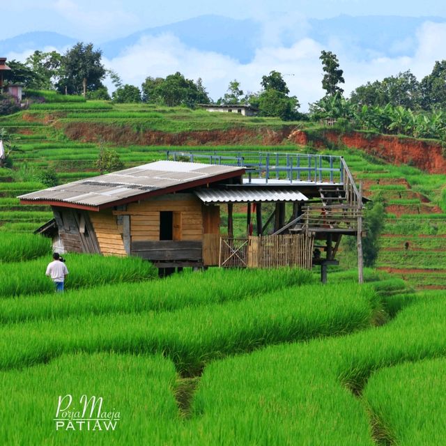 นาขั้นบันได บ้านป่างเปียง เชียงใหม่