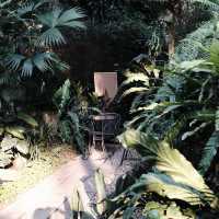 The Wanderer | คาเฟ่บรรยากาศธรรมชาติ