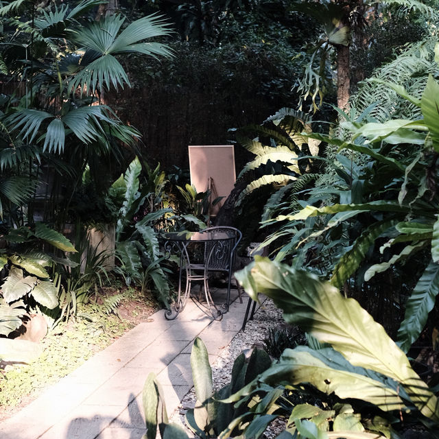 The Wanderer | คาเฟ่บรรยากาศธรรมชาติ