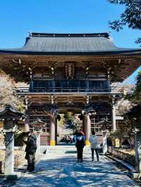 【一生に一度は行きたい】黄金に輝く鳥居と天空神社✨✨✨険しく狭い山道の攻略法も掲載
