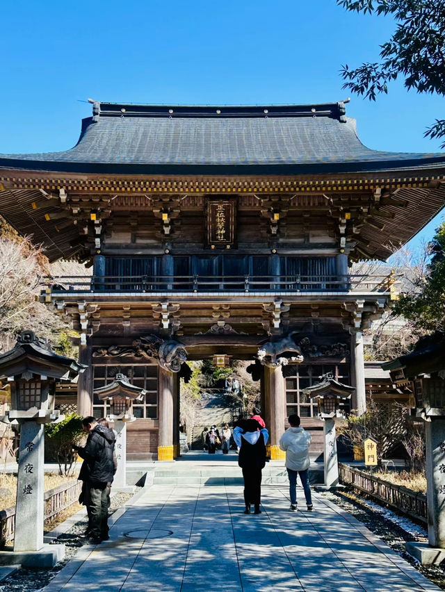 【一生に一度は行きたい】黄金に輝く鳥居と天空神社✨✨✨険しく狭い山道の攻略法も掲載