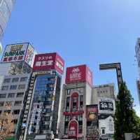 Tokyo Wonders: Explore Iconic Sights, Culture, and Culinary Delights