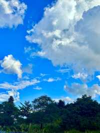 🇯🇵空飛ぶ泥船