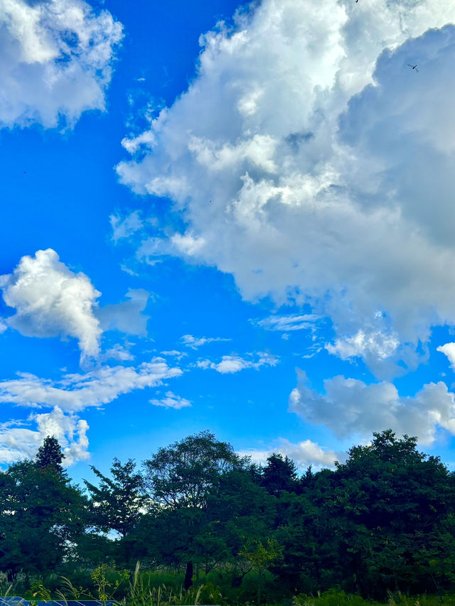 🇯🇵空飛ぶ泥船