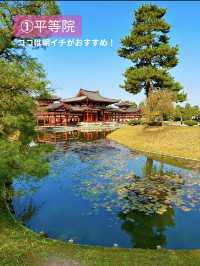 〜京都府〜〜京都府〜【保存推奨】MAPあり！一日で巡る宇治観光！
