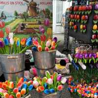 Experience Local Life at the Albert Cuyp Market 🇳🇱