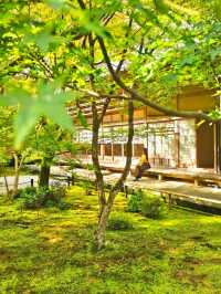 【京都/紅葉スポット】お部屋の中から見る中庭と枯山水が見事なお寺🍂🌾