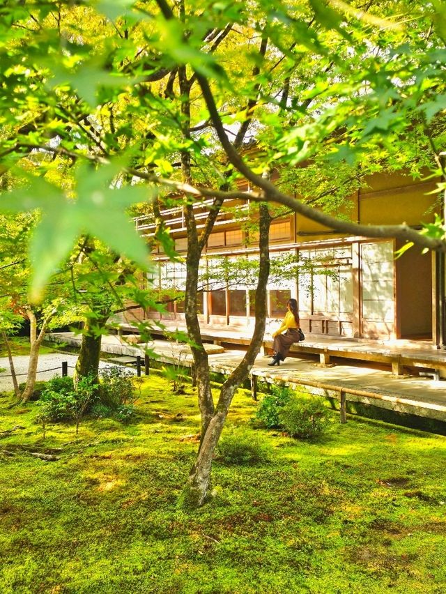 【京都/紅葉スポット】お部屋の中から見る中庭と枯山水が見事なお寺🍂🌾