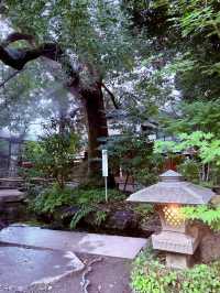 【埼玉県】ライトアップされた秩父神社で観光の締めくくりを迎える