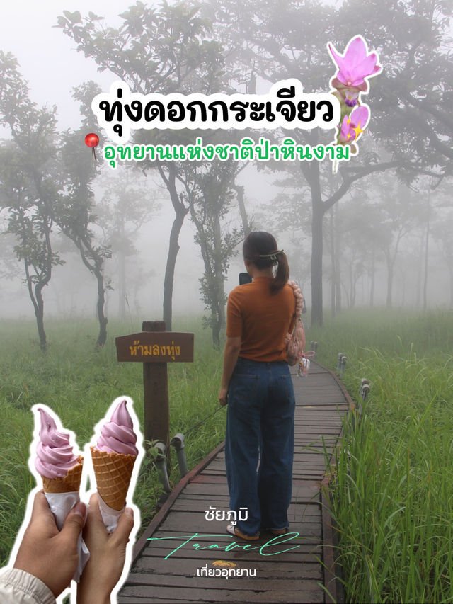 🌷เที่ยวชมทุ่งดอกกระเจียว จ.ชัยภูมิ