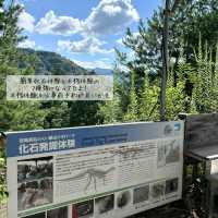 [福井旅行]リニューアルした恐竜博物館🦕💓