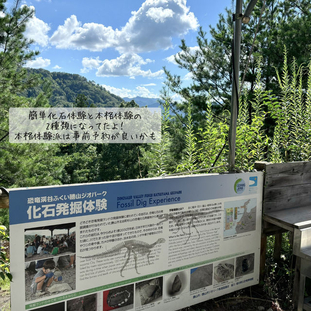[福井旅行]リニューアルした恐竜博物館🦕💓