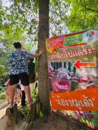 สวนสัตว์เปิดเขาเขียว