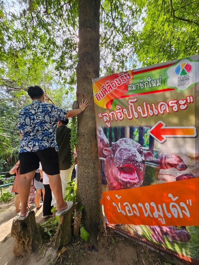 สวนสัตว์เปิดเขาเขียว