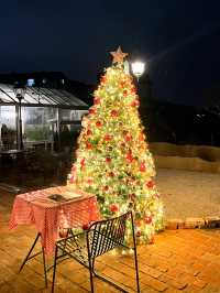 유럽 가정집st 예쁜 트리맛집🎄✨