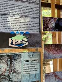 วนอุทยานแก้วโกมล (ถ้ำแก้วโกมล) 