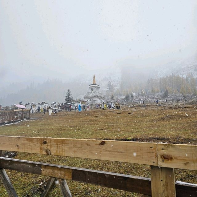 สี่ดรุณี (shuangqiaovalley)