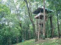 รีวิว อุทยานแห่งชาติทองผาภูมิ 🏔️🏕️