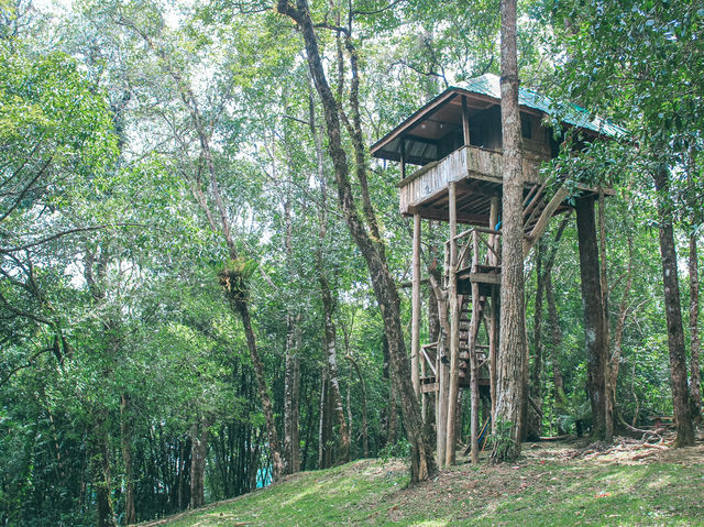 รีวิว อุทยานแห่งชาติทองผาภูมิ 🏔️🏕️