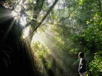 Camping Ground Sibolangit