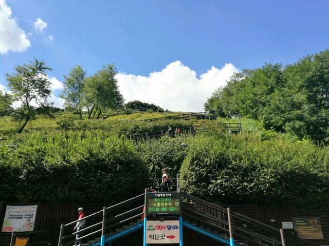 首爾夢幻天空公園 秋季還有限定的紫芒草