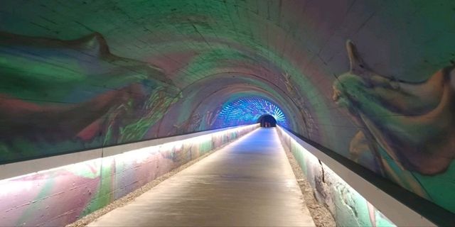 高雄旗津島燈塔/夜海景/星空隧道/中山大學