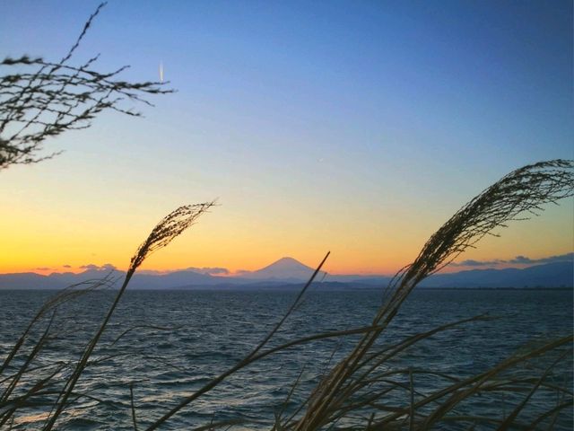 江之島 神奈川最美日落