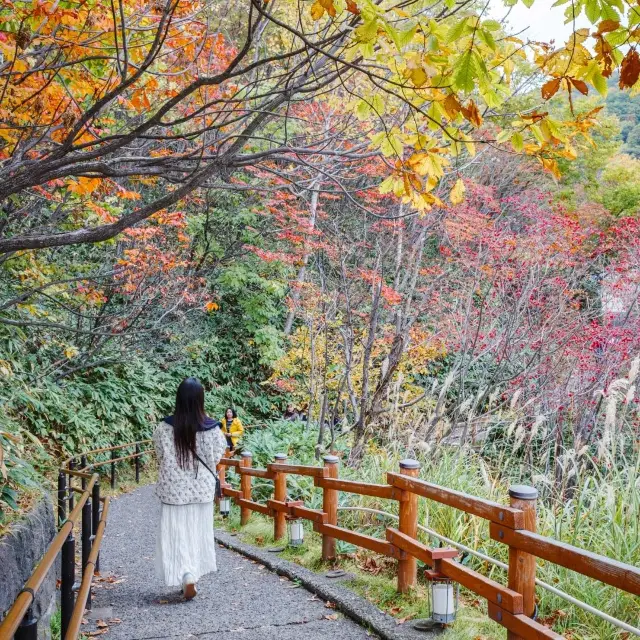The beautiful autumn foliage of the mountains surrounding Hell Valley Hot Springs.