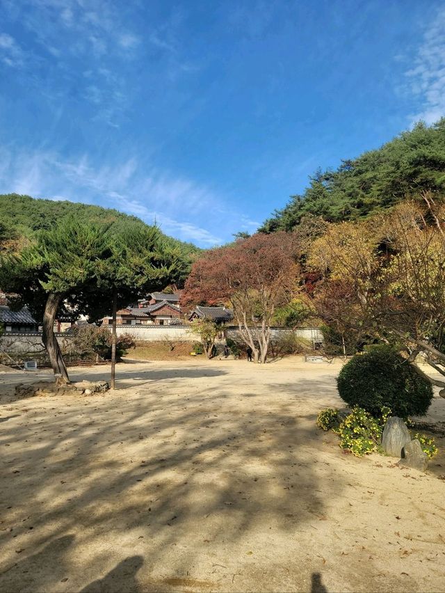 가을에 꼭 가봐야할 안동의 대표적인 문화유산🤎