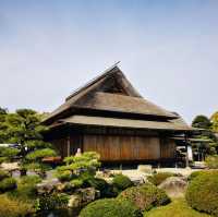 Autumn Magic: A Colorful Escape at Okayama Korakuen Garden!