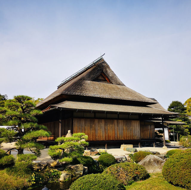 Autumn Magic: A Colorful Escape at Okayama Korakuen Garden!