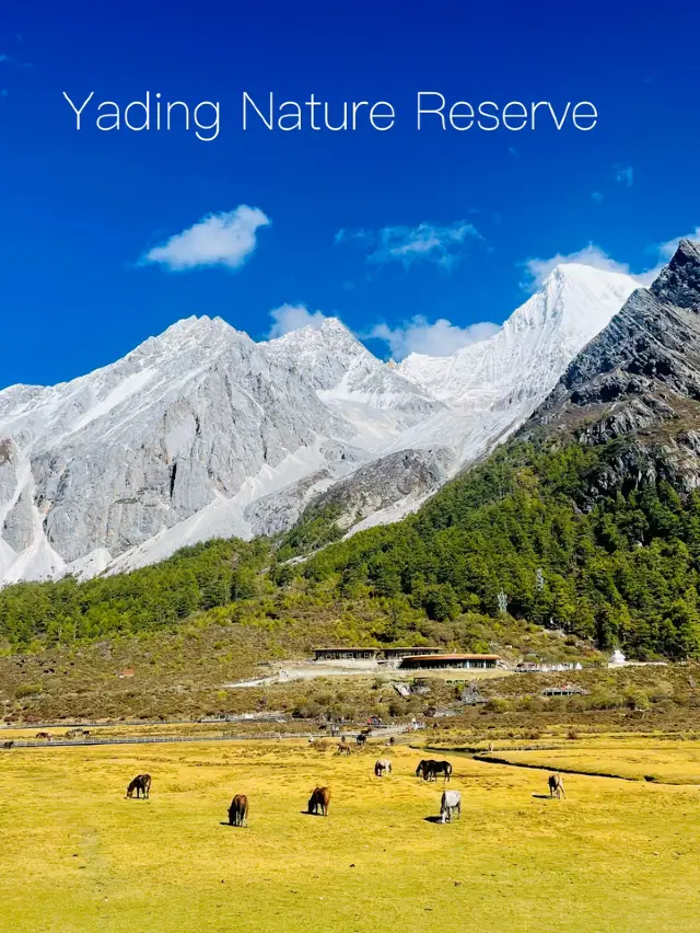 Yading Nature Reserve