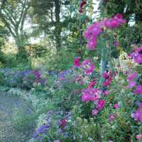 ～英彥山花園～鳥語花香花園～