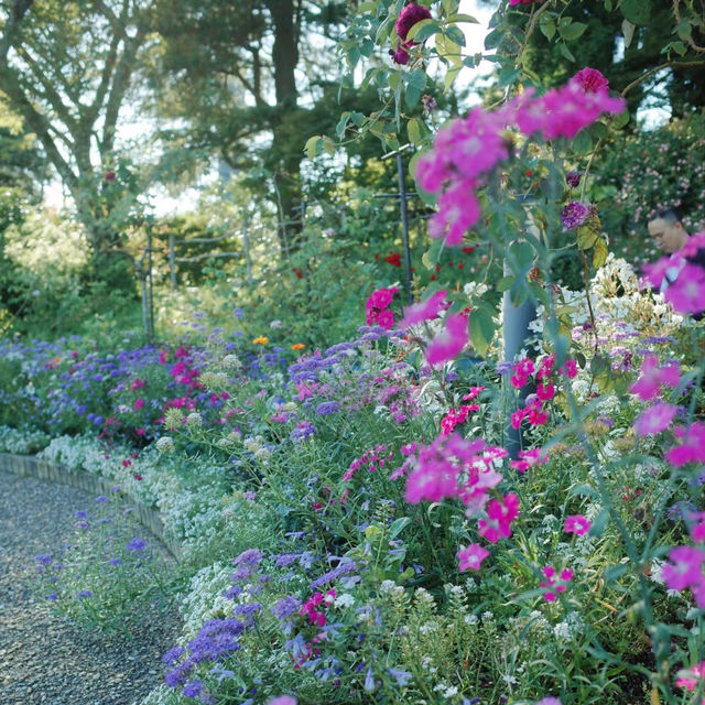 ～英彥山花園～鳥語花香花園～