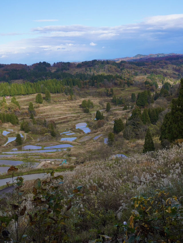 【新潟×日本の絶景】  大小様々な棚田が作り出す光景  運よければ雲海も・・