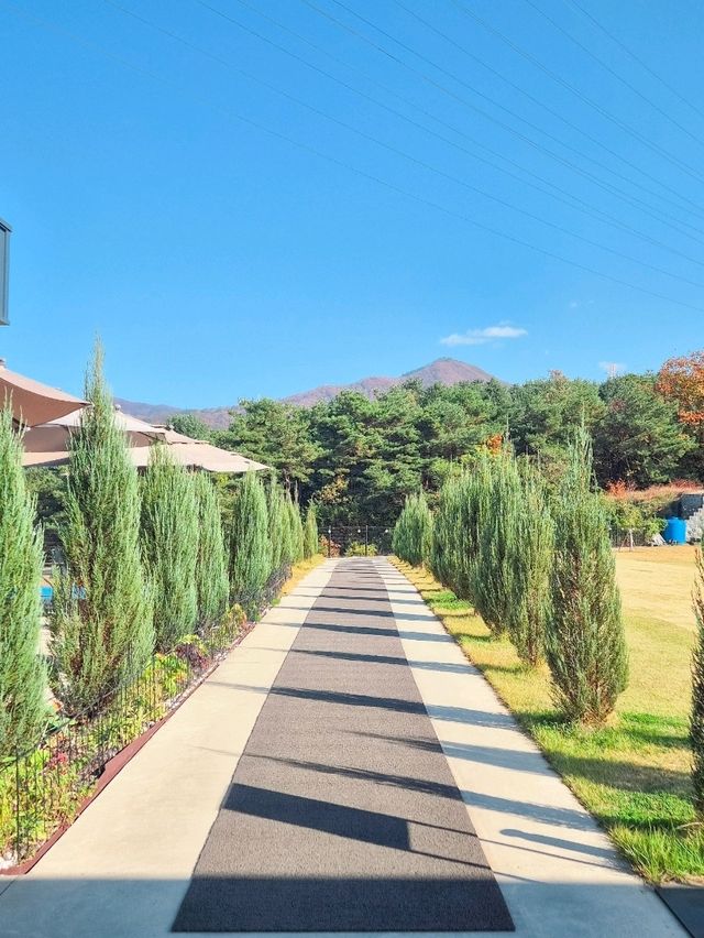 산뷰가 아름다운 춘천 대형 베이커리카페 [리퍼블릭 춘천 본점]