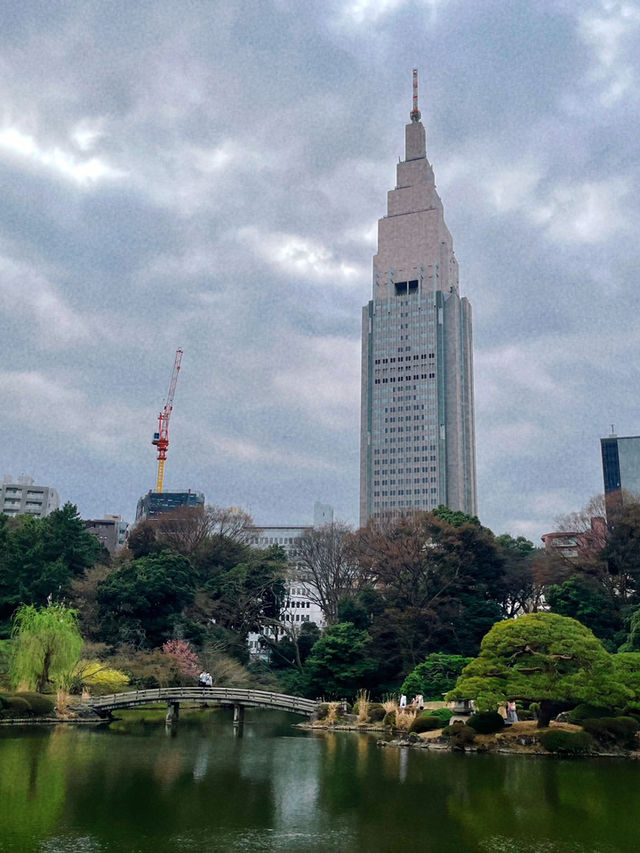 언어의 정원의 배경 신주쿠 교엔⛲️