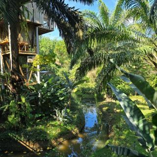 A Serene Escape at Baan Rai I Arun