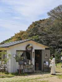 【淡路島】日帰りでも堪能できる！おすすめドライブコースをご紹介🌿