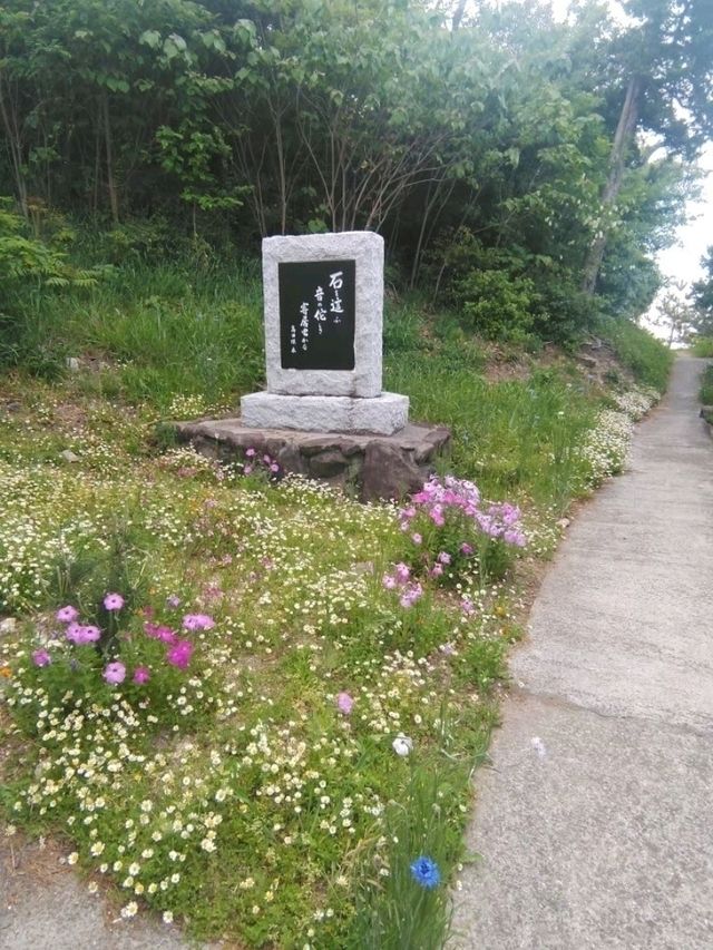 【徳島・兵庫】青空から夕陽まで！島を楽しむ弾丸旅♪