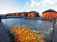  ที่พักหรูบนแพกาญจนบุรี บรรจากาศดีมีบ่อปลาคราฟ