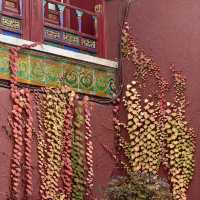 A Walk Through Imperial Majesty: The Palace Museum Experience