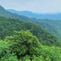 秀桐登山道：健行樂園 🏞️🌅