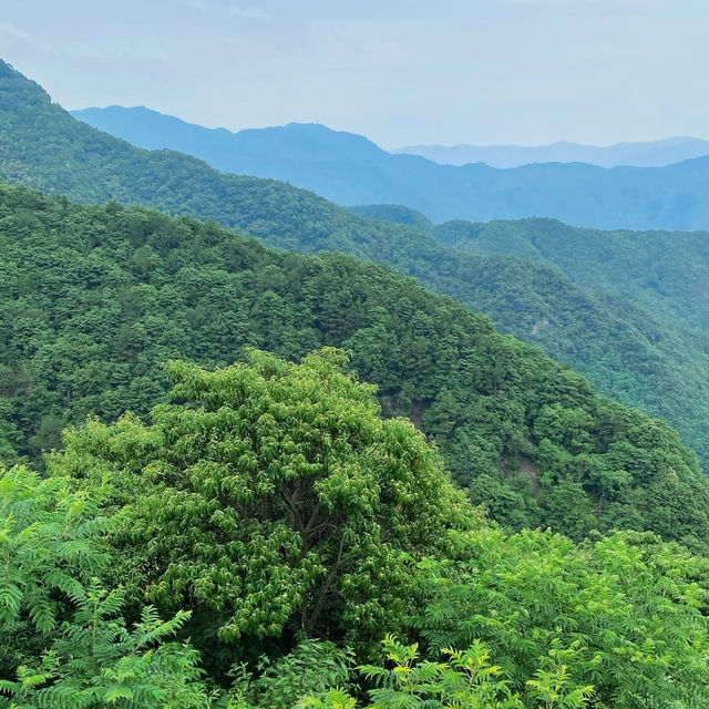秀桐登山道：健行樂園 🏞️🌅