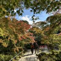 🍁 Nison-in Temple: A Peaceful Autumn Retreat in Arashiyama 🍁